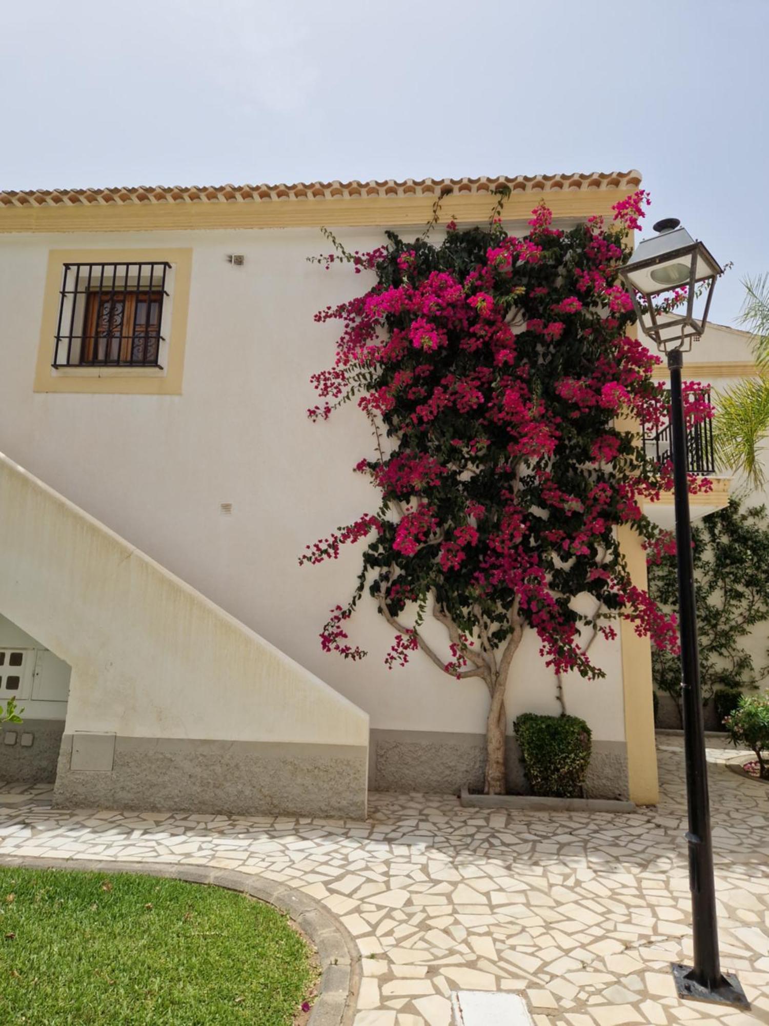 Apartamento Esquina Verde En Vera Coast Playas de Vera Exterior foto